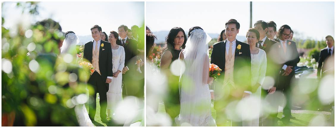 Sydney_Botantical_Gardens_Wedding_Pictures_By_Passion_for_pixels_0053